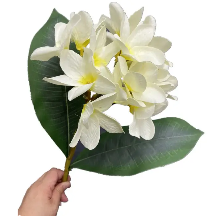 Une branche de fleur Frangipanier en soie avec feuilles vertes Plumeria Rubra fleur Frangipani blanche