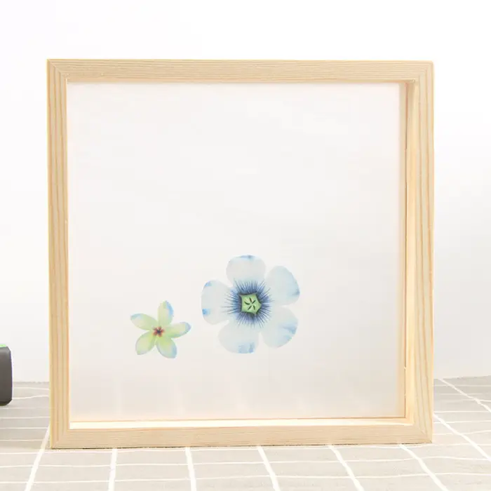 Cadre Photo Double face pour plantes, Support pour feuilles séchées, décoration bricolage