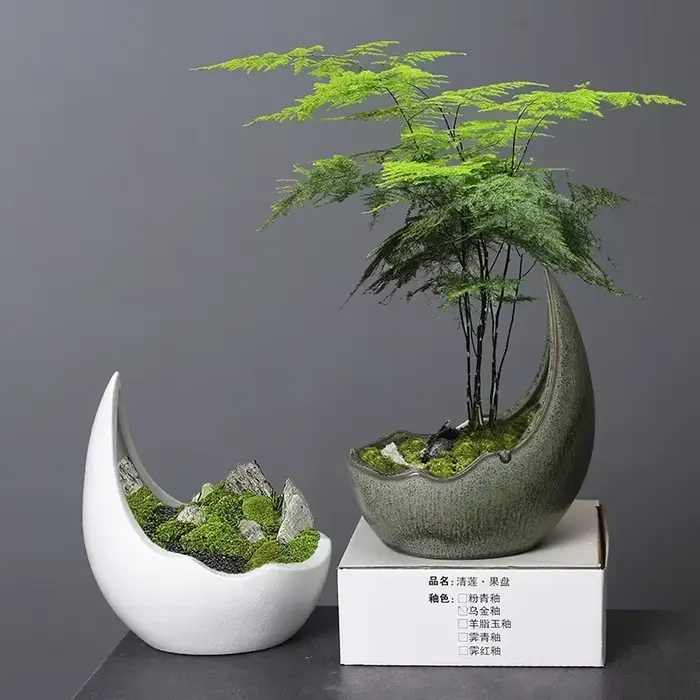 Pot de fleur en céramique en forme de corne de rhinocéros