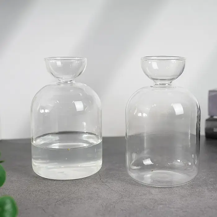 Vase de démarrage de graines d'avocat, Vase en verre Transparent pour plantes en croissance, Kit de culture de graines en verre pour les amateurs de jardinage