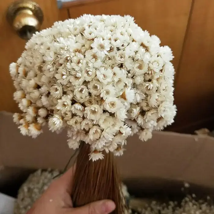 Mini bouquet de fleurs séchées artificielles