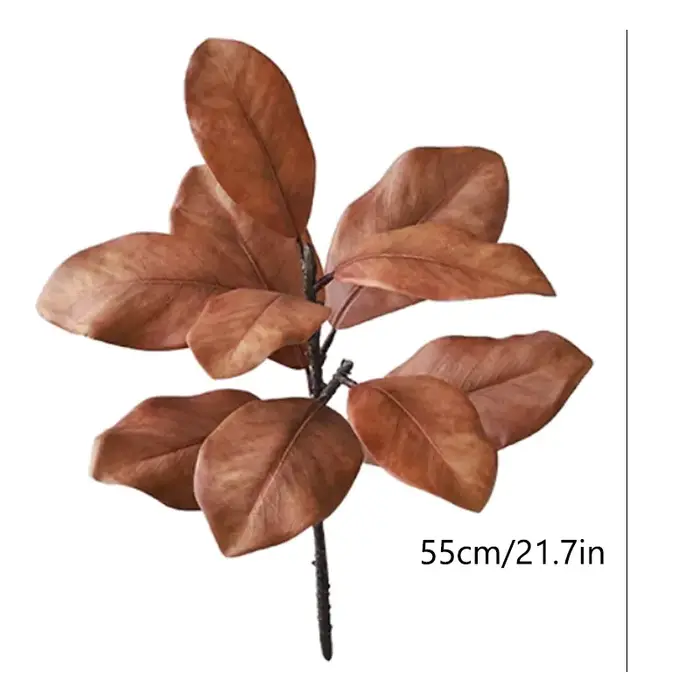Plantes vertes de Simulation