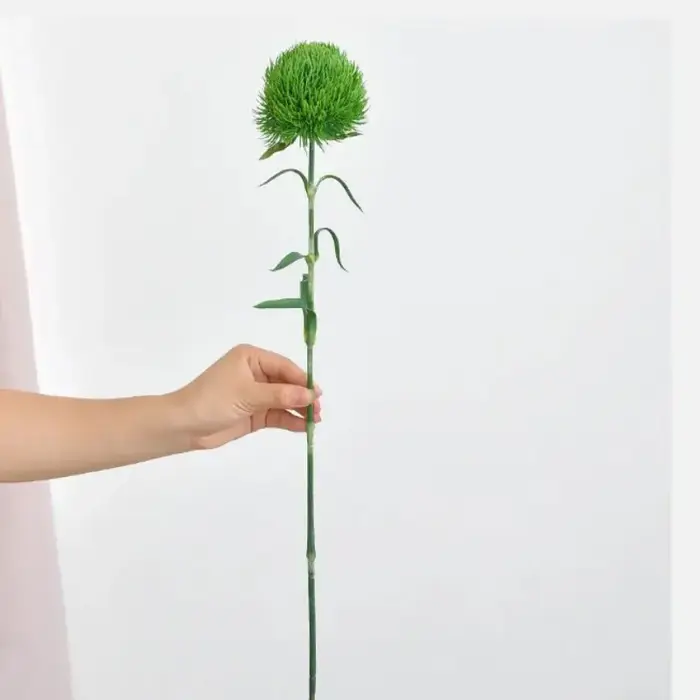 Bouquet de fausses plantes Dianthus en latex