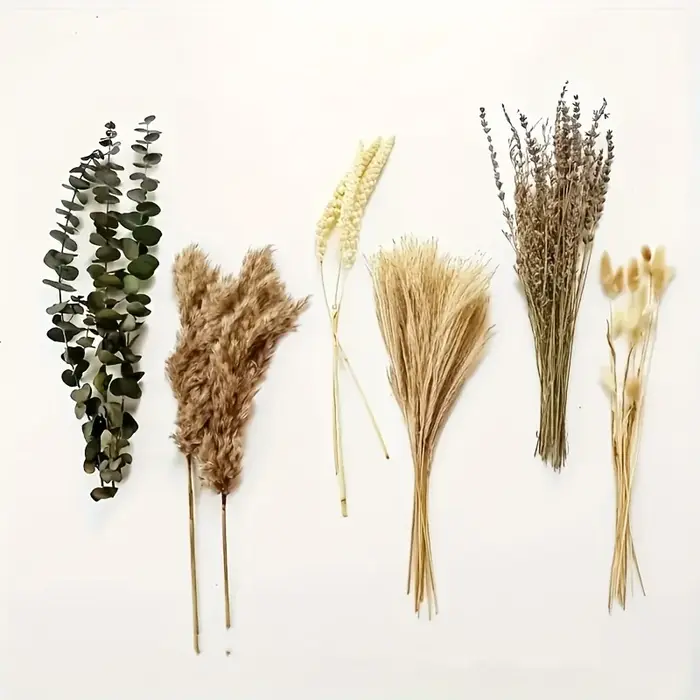90 pièces fleurs séchées Pampas lapin queue Eucalyptus Bouquet Boho maison jardin décoration fleur artificielle Pampa décor de fête de mariage