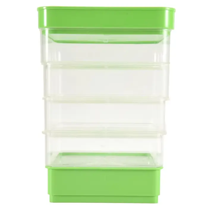 Kit de Germination de graines de haricots