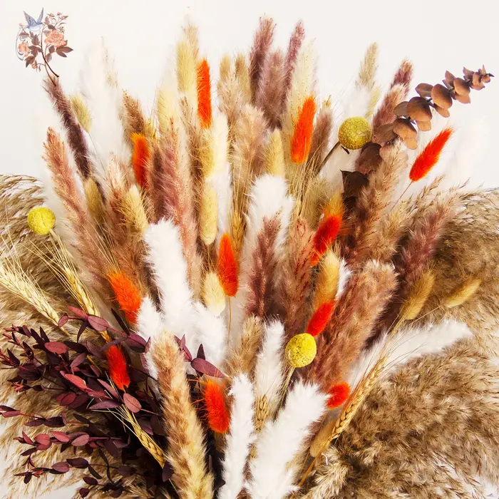 Bouquets de Pampas Moelleux