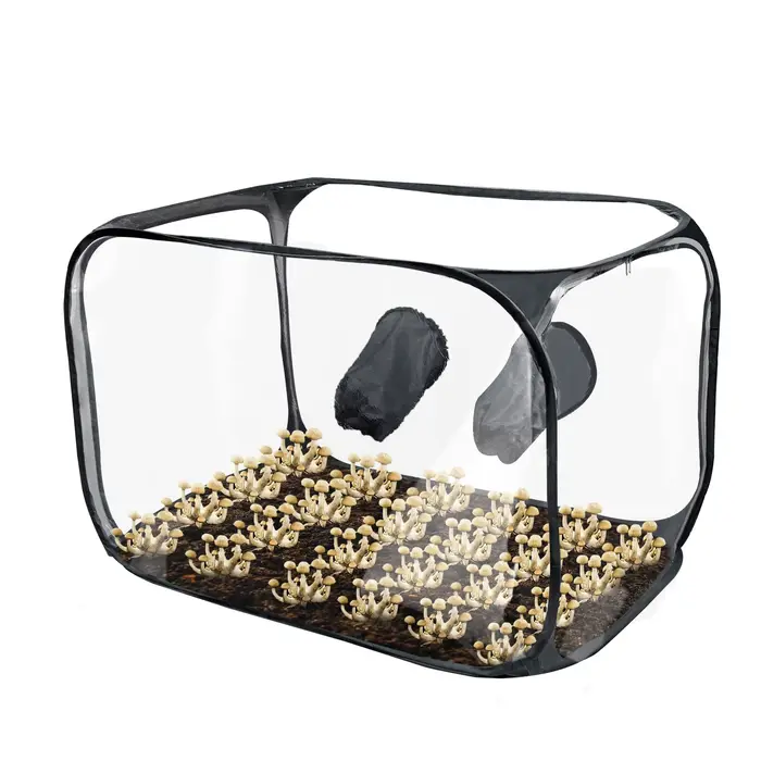 Boîte de culture de champignons - Avec ouverture zippée, poignées pour une manipulation facile, desi