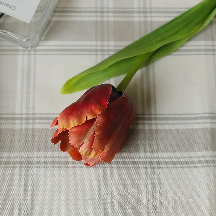 InjFlower-Perroquet Élà une branche