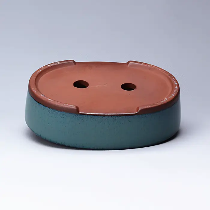 Pot de fleur succulente en céramique