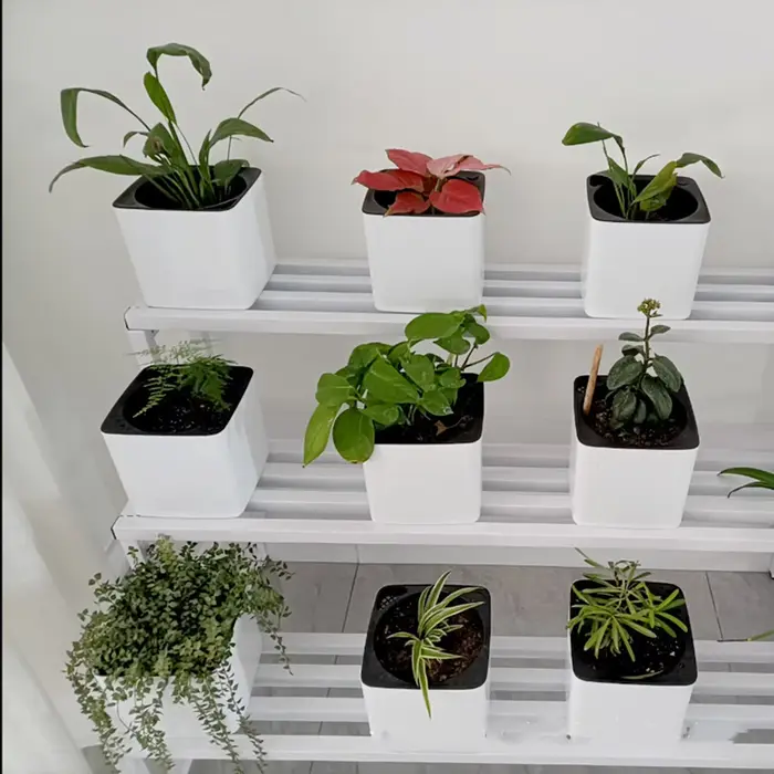 Jardinière à arrosage automatique