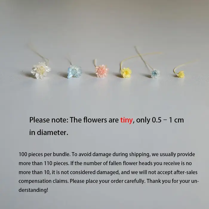 100 pièces/Mini fleurs étoilées séchées Mikado
