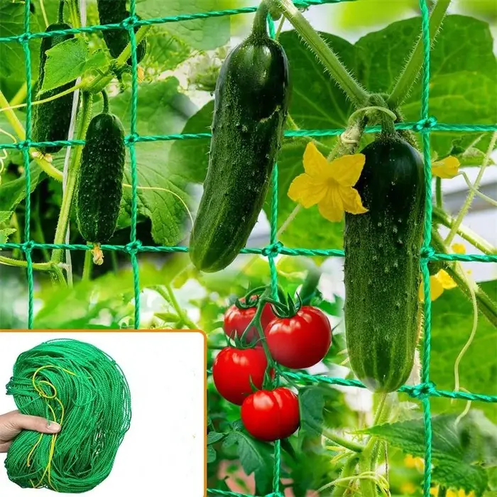 Filet d'escalade pour plantes, légumes, fruits, fleurs, filet en maille solide en Nylon épais pour c