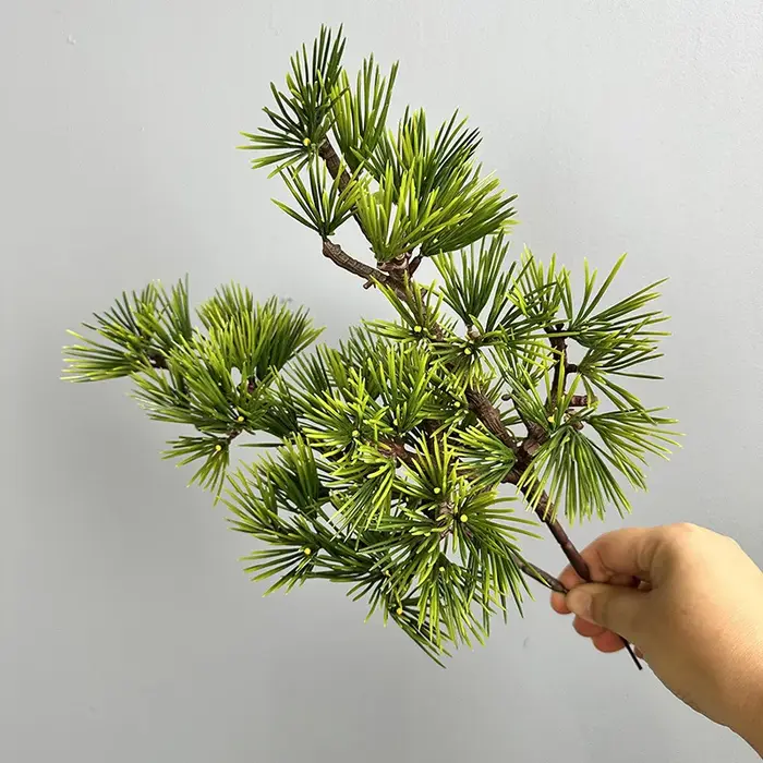 Simulation de branche de Podocarpus