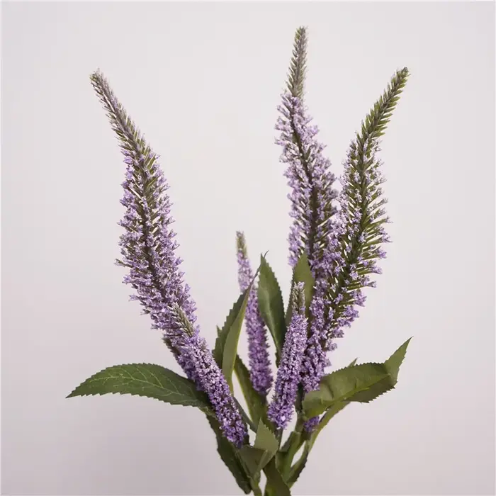 Bouquet de sauge à tige courte de 18