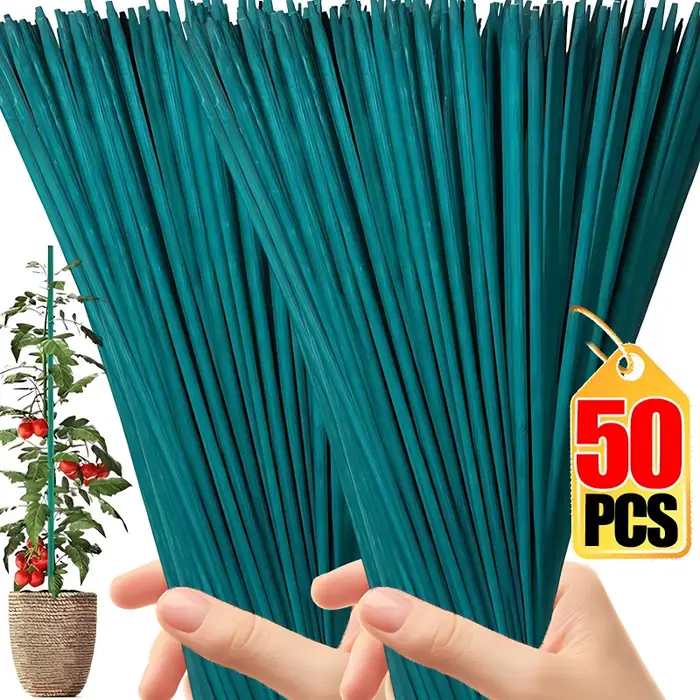 Bâtons de Support pour plantes
