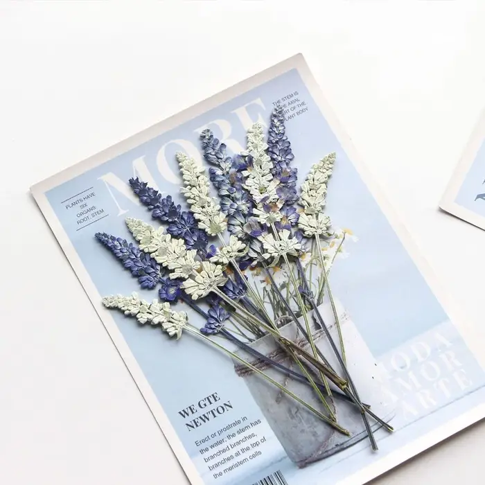 12 pièces/6-10 cm, en gros, spécimens de salvia naturelle, fleurs pressées pour marque-pages DIY, colle goutte à goutte, cadres photo décoratifs, matériaux végétaux