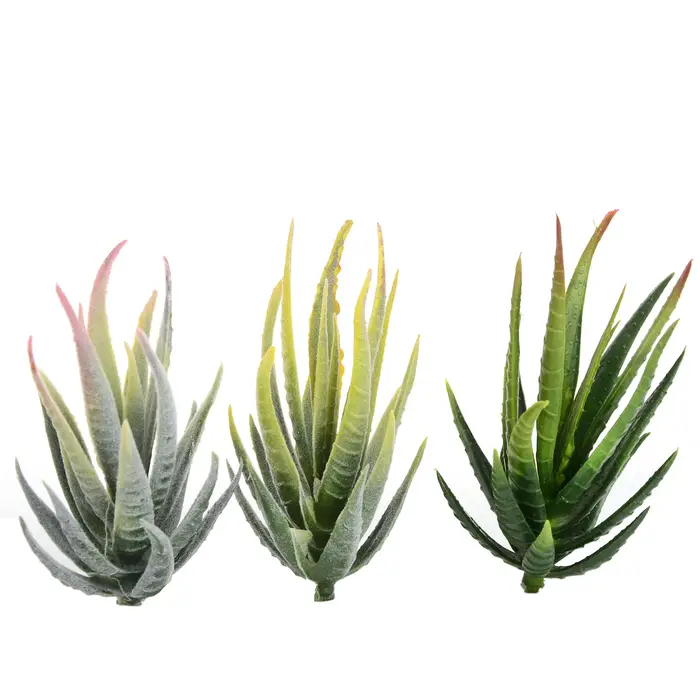 Vert rose jaune zèbre Aloe plantes succulentes artificielles maison jardin décoration bricolage
