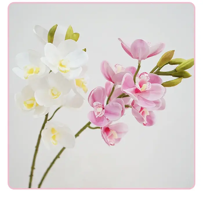 Cymbidium en Latex au Toucher Réel