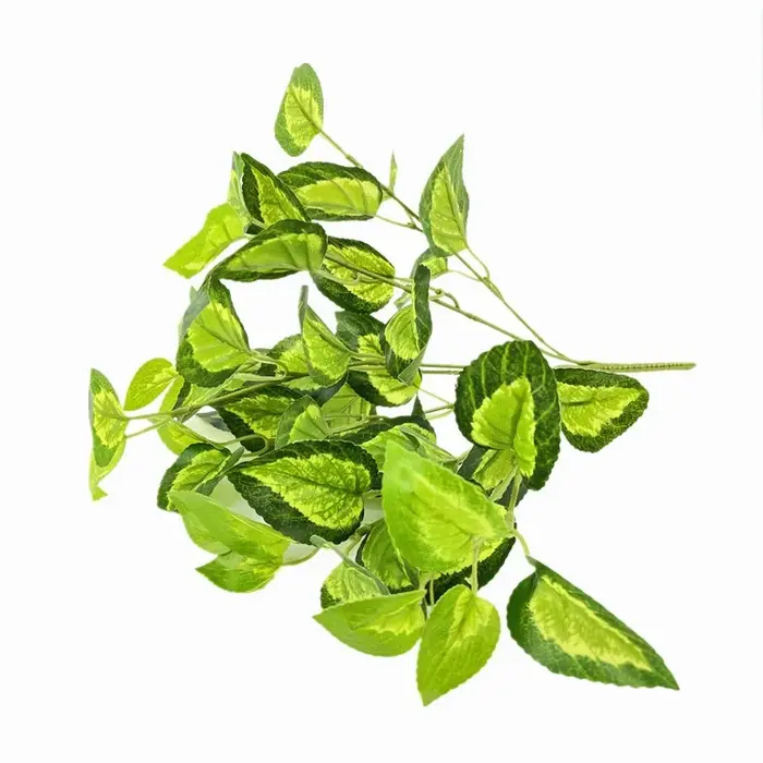 Bouquet de plantes artificielles en plastique d'aloès vert