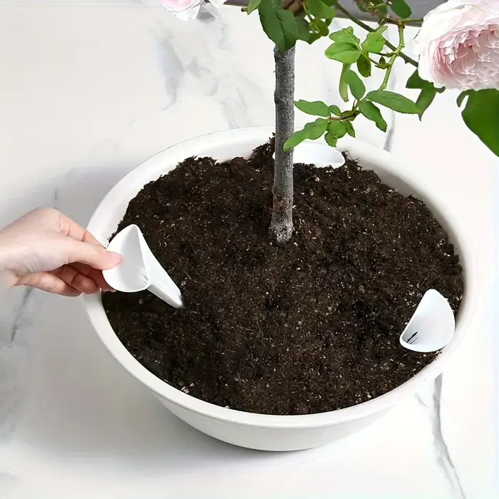 Dispositif d'arrosage respirant pour plantes coniques