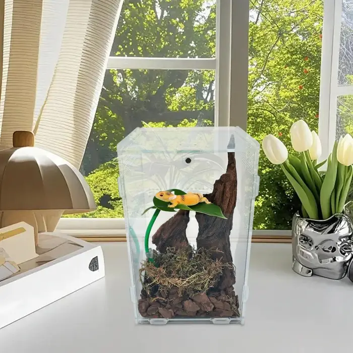 Décorations de Terrarium en forme de feuille