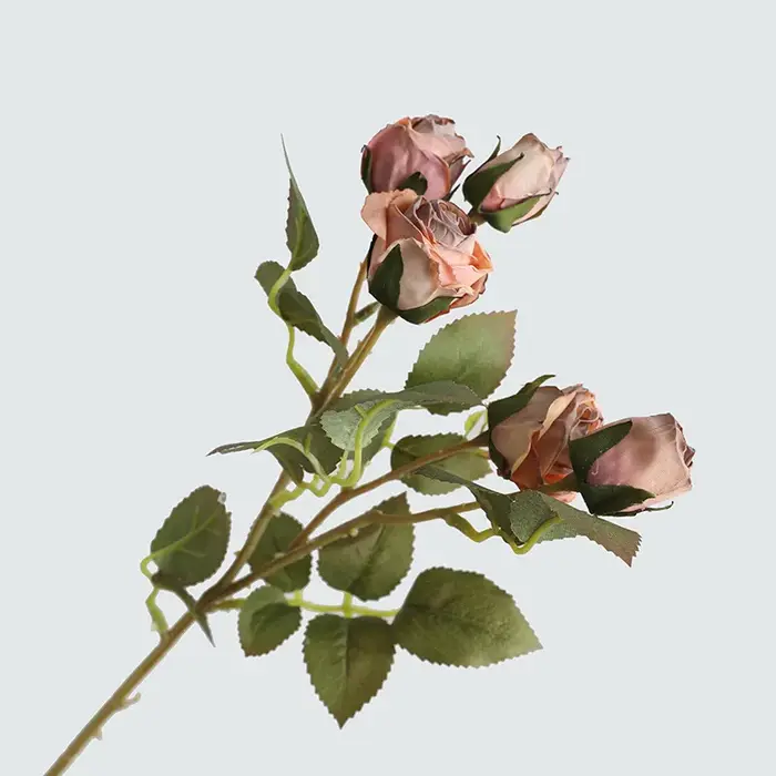 Exposition de fausses fleurs artificielles pour faire de vieilles roses à bord de coke