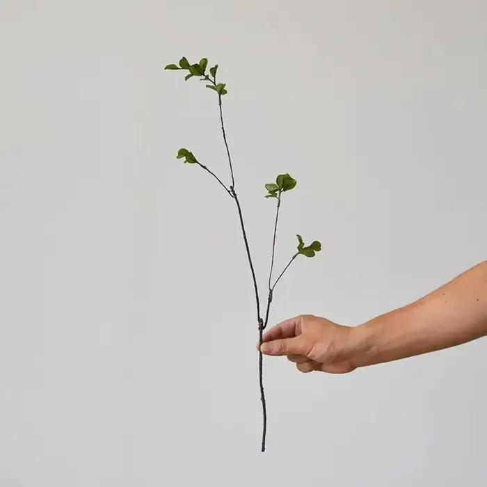 Plante Artificielle en Rotin pour Décoration de Maison