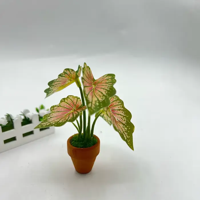 Mini plantes en pot vertes à dos de tortue Taro