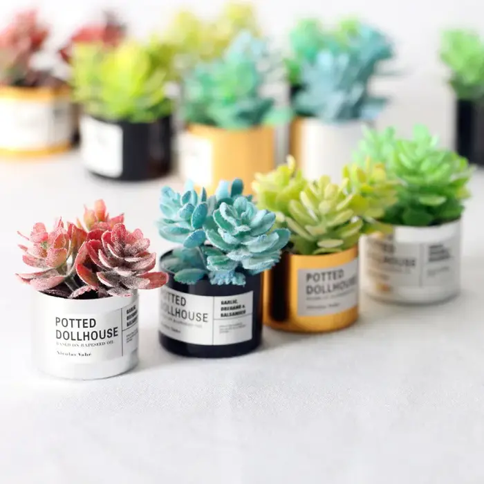 Plante verte l'inventaire en pot