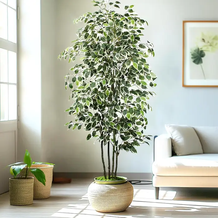 Grand arbre artificiel Ficus de 3 à 6 pieds