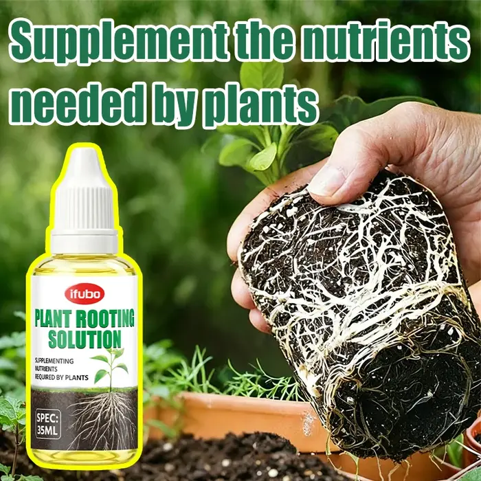Solution nutritive pour l'enracinement des plantes