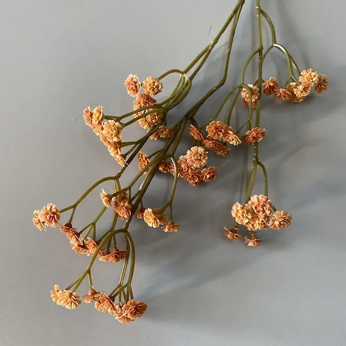 Fleur séchée Gypsophila de 62 cm de haute qualité