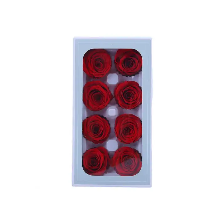 Fleur de Rose éternelle conservée, beauté éternelle, Arrangement de Rose conservé réaliste pour déco