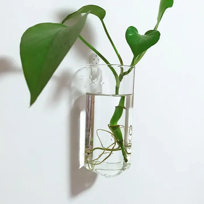 Vase à fleurs mural en verre minimaliste moderne