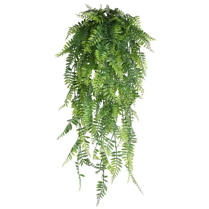 Feuilles de Fougère Perse de 90cm