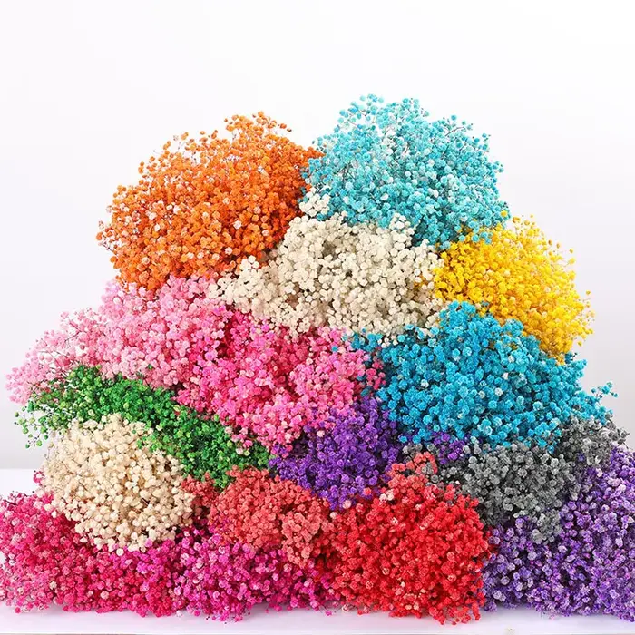 Bouquet de fleurs séchées pour bébé