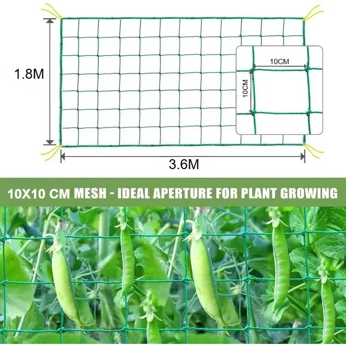 Grillage de treillis robuste pour plantes grimpantes d'extérieur