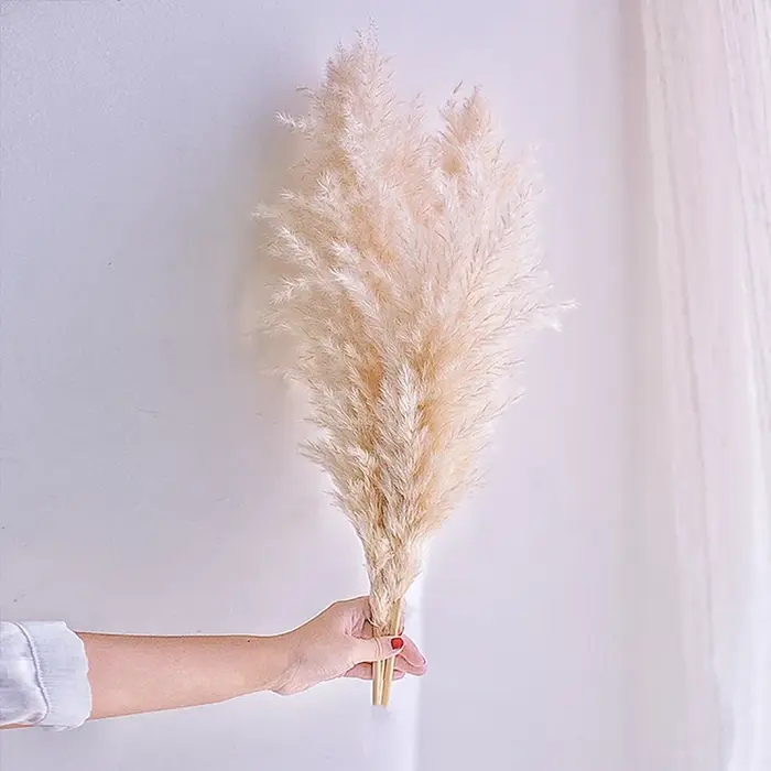 Décoration d'herbe de Pampa Boho 60cm