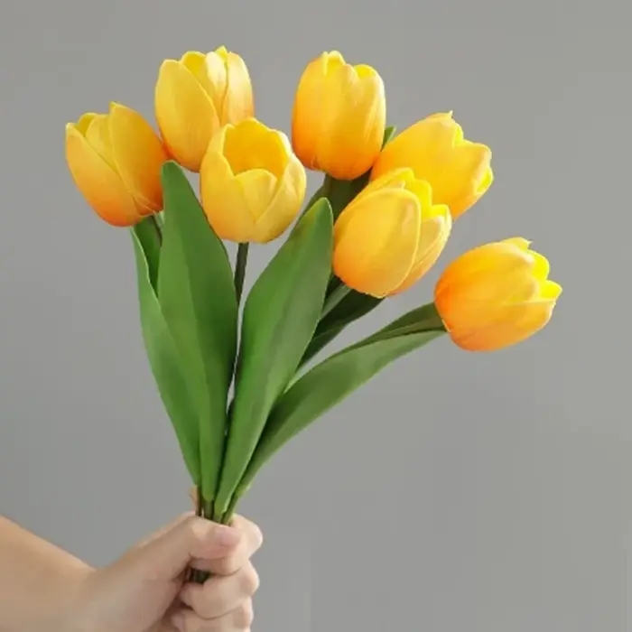 Bouquet de tulipes rondes à 7 têtes
