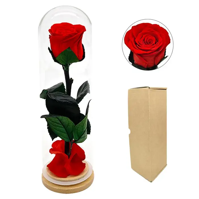 Forever Rose têtes couvercle en verre fini fleurs conservées fête des mères saint valentin anniversa