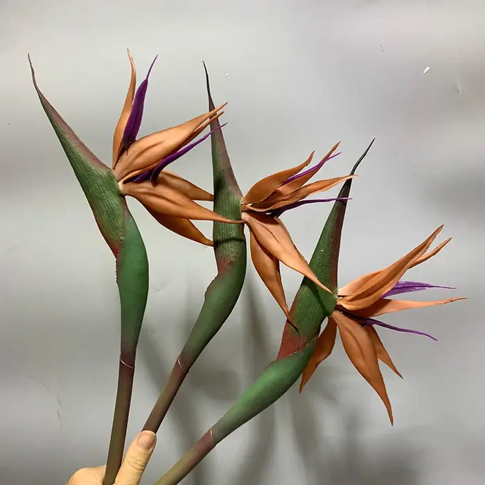Les feuilles de bananier artificielles et les oiseaux du paradis conviennent aux décorations de maison