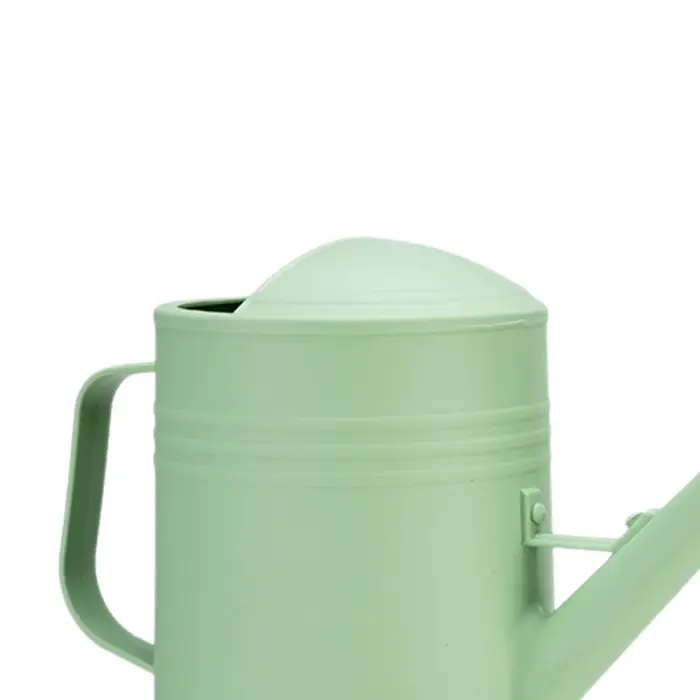Arrosoir pour plantes avec tête d'arrosage