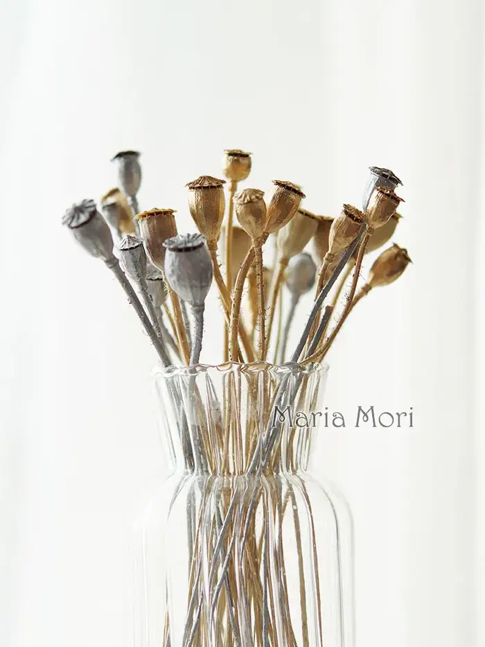 10 pièces/fleurs conservées maïs coquelicot fruits décoration de la maison bricolage matériel colle cristal bougies faites à la main fleurs époxy or argent