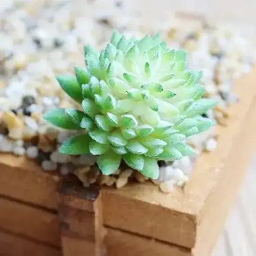 Succulentes artificielles 7 pièces fausse plante succulente réaliste artificielle