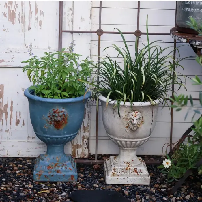 Jardinière Antique tête de Lion
