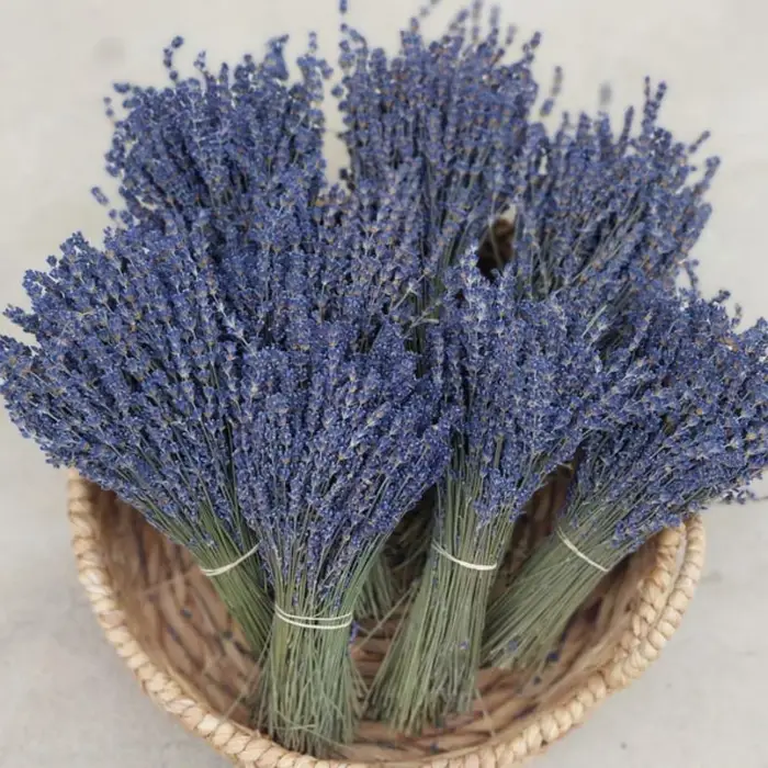 Mèches de fleurs de lavande séchées naturelles