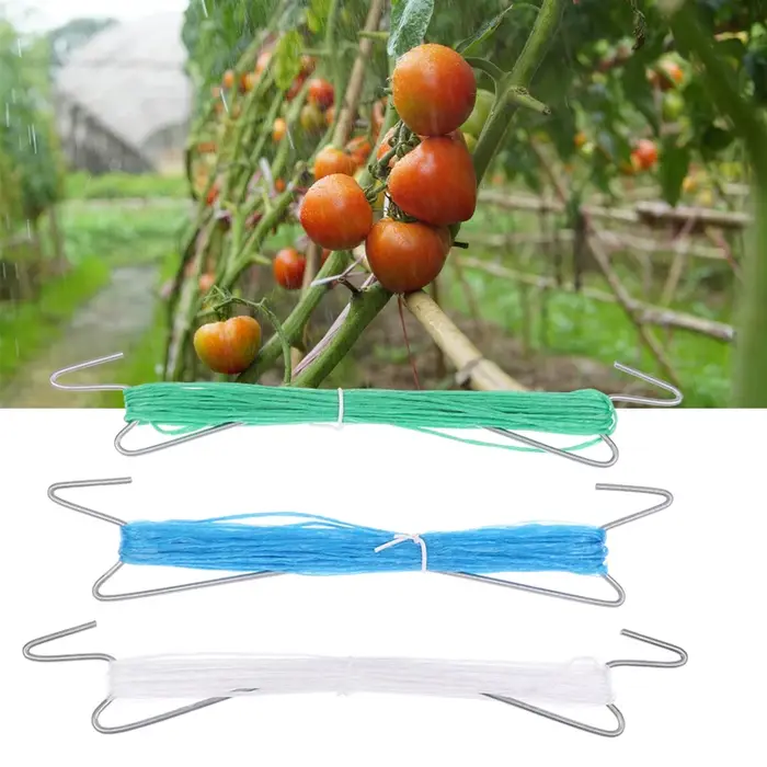 Lot de 10 crochets de fixation pour plantes avec corde de 10 m + 20