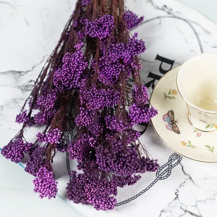 Bouquet de fleurs de riz éternel séchées naturelles