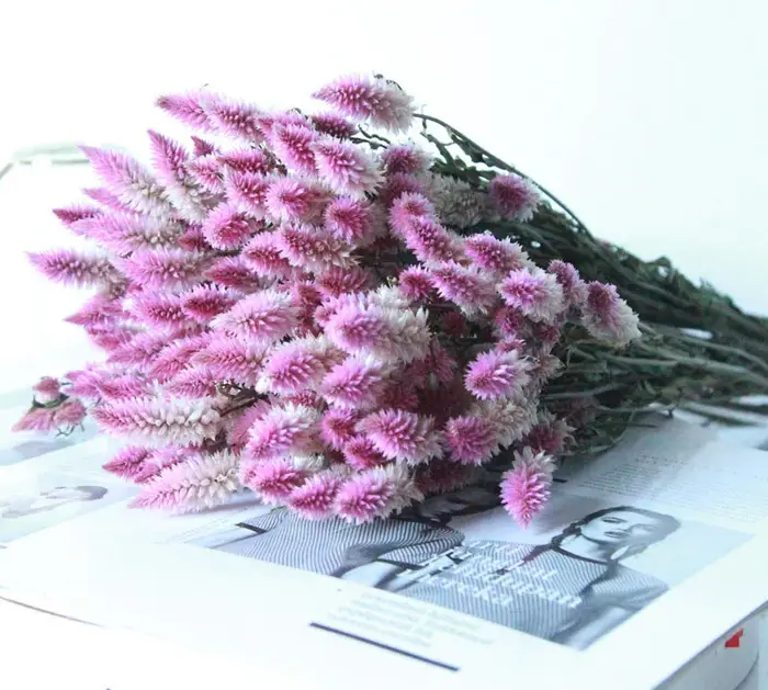 Bouquet de Fleurs vaccées Naturelles avec Queue de Phénix