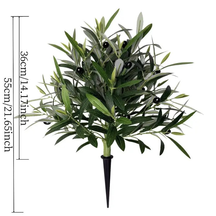 Plante d'olivier de printemps